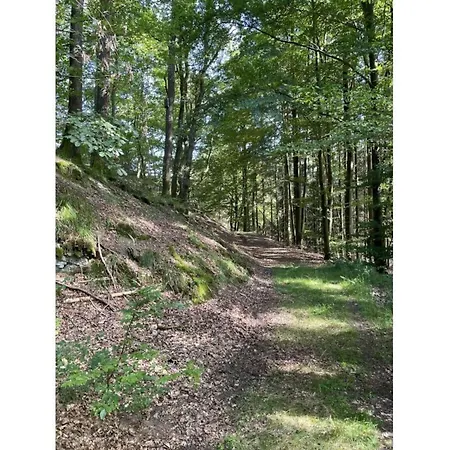 Berghouse Apartman Elleringhausen