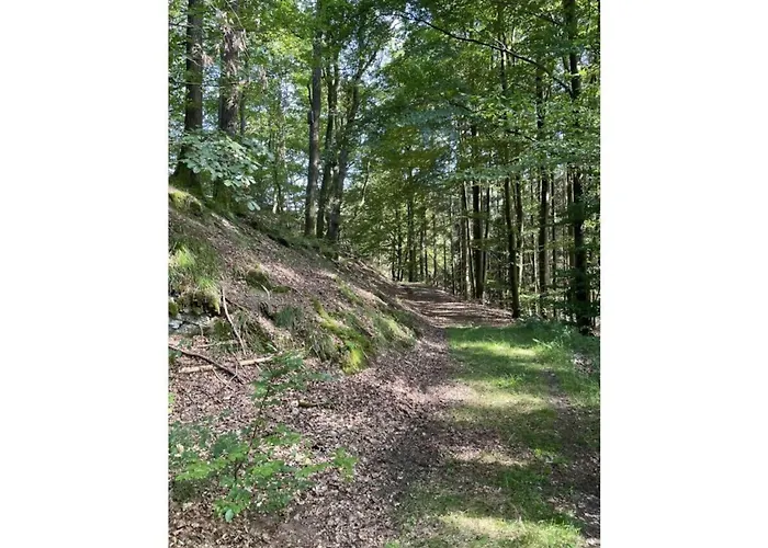 Berghouse Lägenhet Elleringhausen